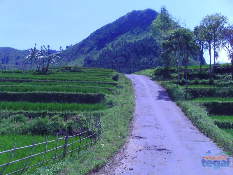 Perbukitan Batunyana Bojong Kabupaten Tegal