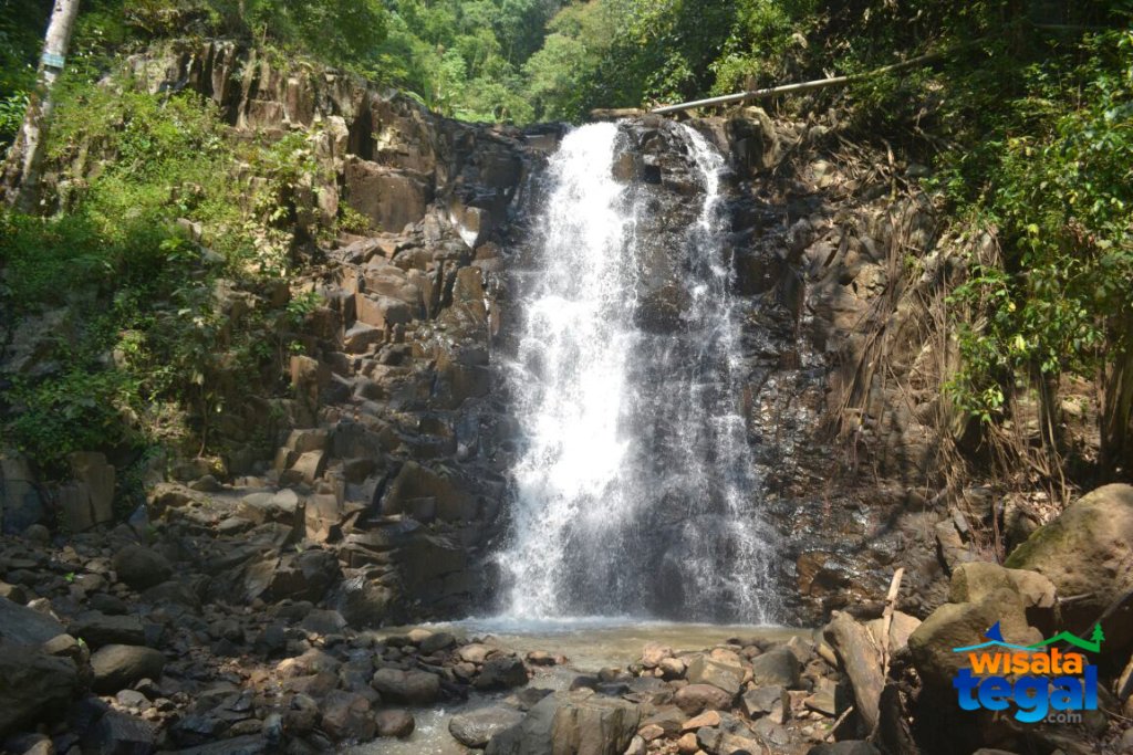 Curug 1 Margasari, Tegal