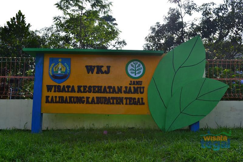 Profil Wisata Kesehatan Jamu (WKJ) Kalibakung, Kabupaten Tegal